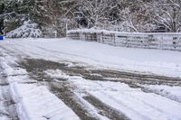 Snowy Road on Asphalt in Canada, Ontario