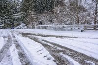 Snowy Road on Asphalt in Canada, Ontario