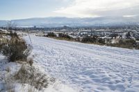 Snowy Road in Canada: A Picturesque Landscape