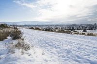 Snowy Road in Canada: A Picturesque Landscape