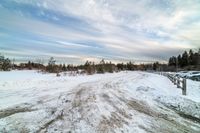 a large open space in the snow with trees lining the sides of the road and snow on the ground