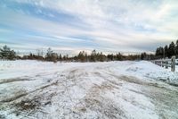 a large open space in the snow with trees lining the sides of the road and snow on the ground