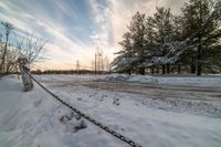 snowy road leading to forest in countryside on sunny day, surrounded by trees and bushes