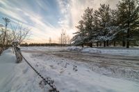 snowy road leading to forest in countryside on sunny day, surrounded by trees and bushes