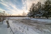 snowy road leading to forest in countryside on sunny day, surrounded by trees and bushes