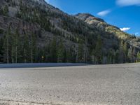 Snowy Road in Colorado: A Forest Surrounded by Mountains