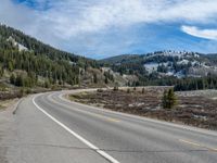 an empty winding road through a forest and snow covered mountain range in the background with pine trees