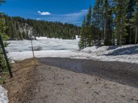 Snowy Road in Colorado: A Winter Landscape