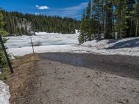 Snowy Road in Colorado: A Winter Landscape