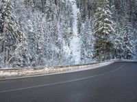 a paved roadway lined with trees covered in snow in the winter woods next to a mountain