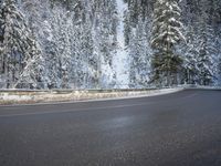 a paved roadway lined with trees covered in snow in the winter woods next to a mountain