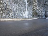 a paved roadway lined with trees covered in snow in the winter woods next to a mountain