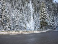 a paved roadway lined with trees covered in snow in the winter woods next to a mountain