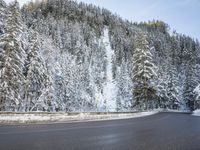 a paved roadway lined with trees covered in snow in the winter woods next to a mountain