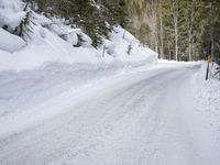 a snowy dirt road is filled with lots of snow and trees and is surrounded by pine trees