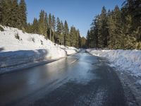 a car sits parked on the side of a snowy road, in the middle of a forested area