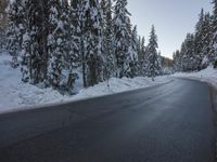 a snowy road next to evergreen trees on an icy day with blue sky and low clouds