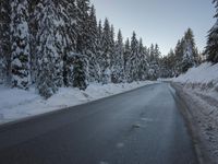 a snowy road next to evergreen trees on an icy day with blue sky and low clouds