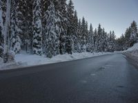 a snowy road next to evergreen trees on an icy day with blue sky and low clouds
