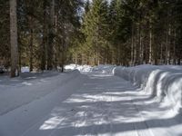 an image of a snow path in the winter time out side of the woods with trees on both sides