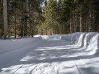 an image of a snow path in the winter time out side of the woods with trees on both sides