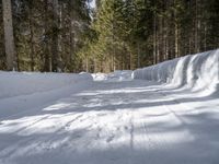 an image of a snow path in the winter time out side of the woods with trees on both sides