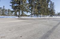 a road with parked cars and large evergreen trees on the roadside side of it is snow on the ground