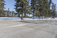 a road with parked cars and large evergreen trees on the roadside side of it is snow on the ground