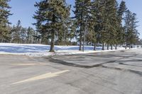 a road with parked cars and large evergreen trees on the roadside side of it is snow on the ground