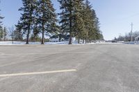 a road with parked cars and large evergreen trees on the roadside side of it is snow on the ground