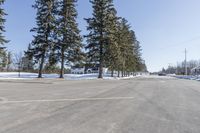 a road with parked cars and large evergreen trees on the roadside side of it is snow on the ground