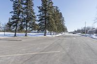 a road with parked cars and large evergreen trees on the roadside side of it is snow on the ground