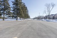 a road with parked cars and large evergreen trees on the roadside side of it is snow on the ground