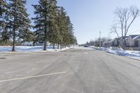 a road with parked cars and large evergreen trees on the roadside side of it is snow on the ground