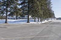 a road with parked cars and large evergreen trees on the roadside side of it is snow on the ground