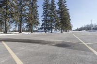 a road with parked cars and large evergreen trees on the roadside side of it is snow on the ground