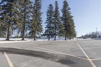 a road with parked cars and large evergreen trees on the roadside side of it is snow on the ground