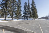 a road with parked cars and large evergreen trees on the roadside side of it is snow on the ground