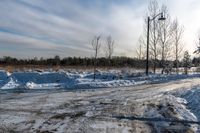 snow piles along a road with trees and a streetlight in the background, with many small mounds of snow