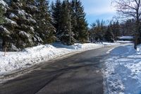 a road that has snow on the side and several trees by it along with blue sky in the background