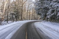 a snow filled road with trees near it with white snow on the ground and two yellow lines in between the street