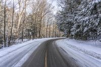 a snow filled road with trees near it with white snow on the ground and two yellow lines in between the street