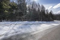 Snowy Road in Ontario, Canada Landscape