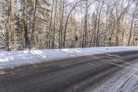 an empty road is surrounded by trees and snow on both sides of the road and in the middle there are a lot of trees