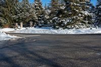 a road in the foreground is empty of snow and pine trees at the end, there are signs with information to all people