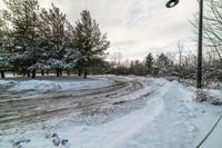 a snowy road next to some trees and a street light on top of it near some snowy ground