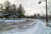 a snowy road next to some trees and a street light on top of it near some snowy ground