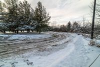 a snowy road next to some trees and a street light on top of it near some snowy ground