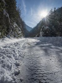 a snowy road covered in snow with trees behind it at sunset time, while the sun shines in a blue sky