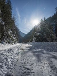 a snowy road covered in snow with trees behind it at sunset time, while the sun shines in a blue sky